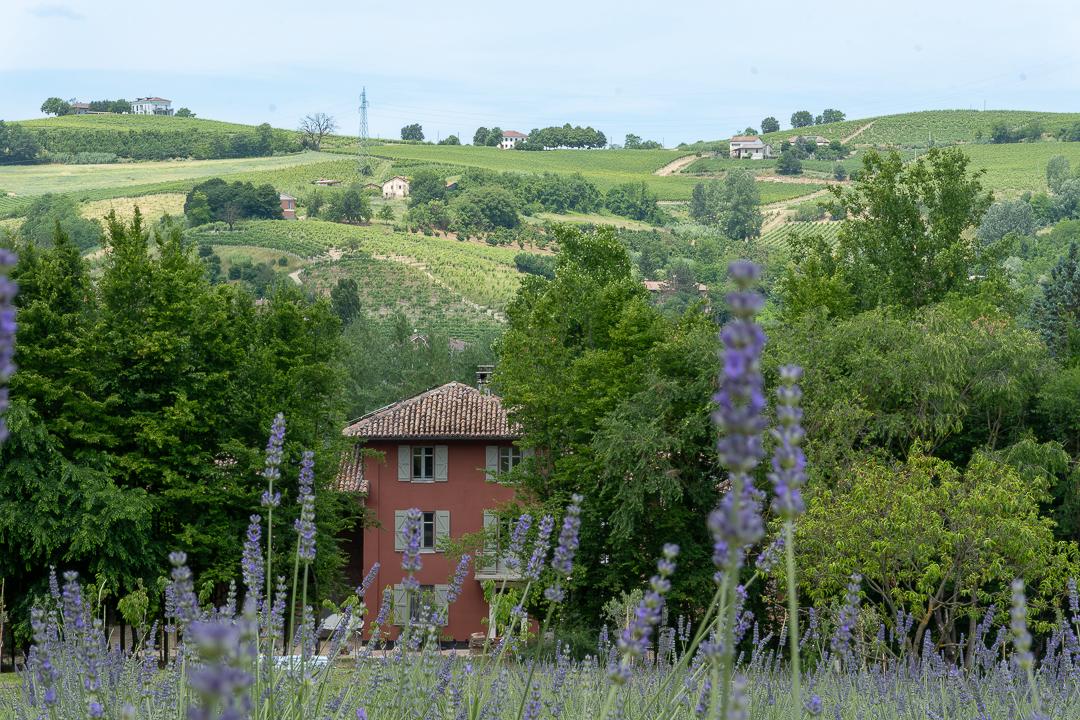 Tenuta Mun Eco Design B&B with private pool Nizza Monferrato Asti