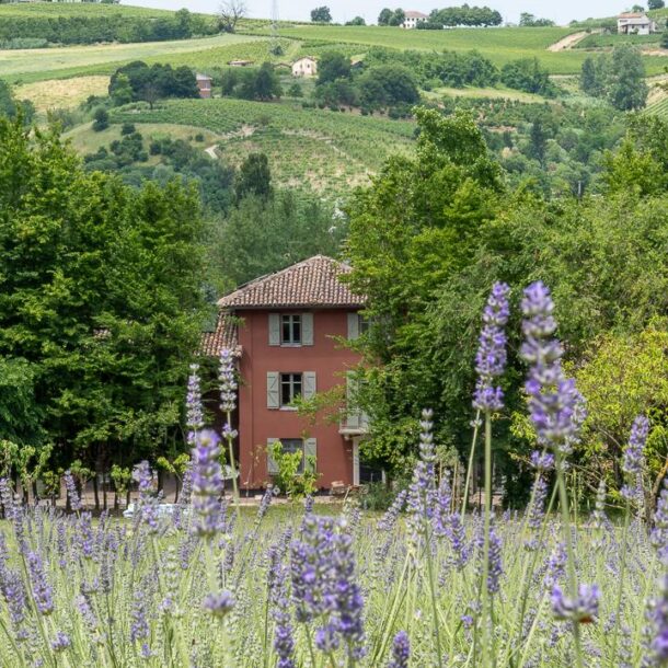 Tenuta Mun Eco Design B&B with private pool Nizza Monferrato Asti